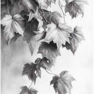 Pensil Arts Design 3